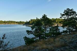 Stockholm Schweden Archipel Grün Landschaft foto