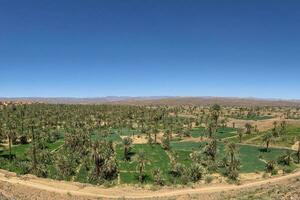 Marokko Wüste Grün Vegetation Landschaft foto