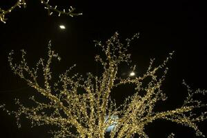 Baum im Girlanden im Park. Girlanden im Stadt. Gelb Licht Glühbirnen auf künstlich Holz. foto