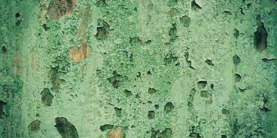 Panorama Grunge Oberfläche Grün hölzern Textur und Hintergrund mit Kopieren Raum. foto