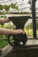 Frau Hand Betriebs ein klein Grün handgekurbelt Mühle zu schleifen Kaffee Innerhalb ein Gewächshaus mit Grün Pflanzen Hintergrund foto