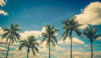 Kokosnuss Palme Baum auf Blau Himmel Hintergrund mit Jahrgang getönt. foto