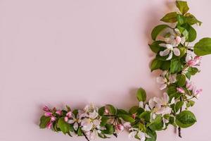 Frühling Hintergrund Vorlage mit blühen Apfel Baum Geäst. rahmen. Gruß Karte. Grenze. Rosa Hintergrund. foto