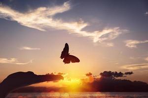 Schmetterling nimmt Flug von ein Mensch Hand foto