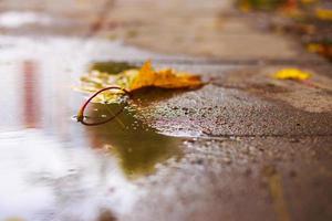 Herbst Blatt auf das Asphalt in der Nähe von ein Pfütze foto