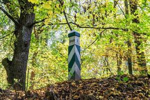 Fotografie zum Thema schöner Fußweg im wilden Laubwald foto