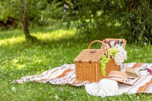 Sommer- romantisch Picknick im ein schön Wiese. Raum zum Text foto