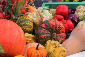 bunt organisch Kürbisse und Kürbisse auf landwirtschaftlich Messe Markt. Ernte Herbst Zeit Konzept. Garten fallen natürlich Pflanze. das Erntedankfest Halloween Dekor. festlich Bauernhof ländlich Hintergrund. vegan Lebensmittel. foto