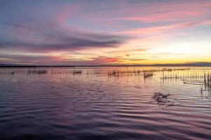 Albufera Mündung in Valencia, Spanien foto