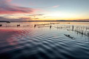 Albufera Mündung in Valencia, Spanien foto