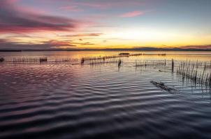 Albufera Mündung in Valencia, Spanien foto