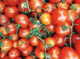 Haufen roter Tomaten foto