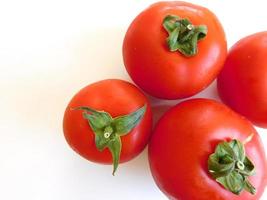 Tomaten auf einem weißen Hintergrund