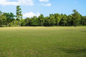 Park mit grünen Grasfeldern mit einem schönen Parkszenenhintergrund