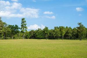 Park mit grünen Grasfeldern mit einem schönen Parkszenenhintergrund foto