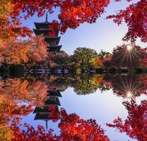 das hölzern Turm von to-ji Tempel im Kyoto beim Herbst.