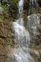 schön Wasserfall im das Berge. Wasser fließt Nieder von das Berge. foto