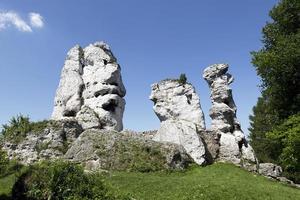 tragen, Sphinx und laka - - Felsen in der Nähe von das Schloss im ogrodzieniec foto