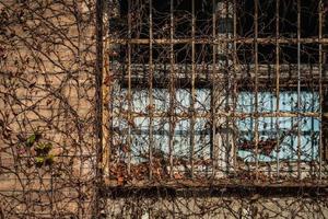 gealtertes Gitterfenster einer alten Fabrik foto