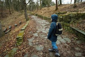 zurück von Junge mit Rucksack Gehen entlang das Wald Stein Straße nach Regen. foto