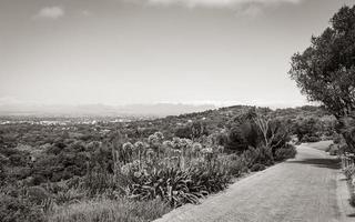 Panoramablick über Kapstadt und Wanderweg Kirstenbosch. foto