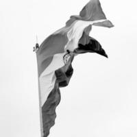 Indien-Flagge, die hoch am Connaught-Platz mit Stolz auf den blauen Himmel fliegt, Indien-Flagge flattert, indische Flagge am Unabhängigkeitstag und Tag der Republik Indien, Schuss nach oben geneigt, indische Flagge schwenkend, Har Ghar Tiranga foto