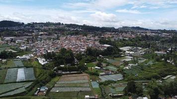 Aussicht von Reisfeld Dorf Indonesien foto