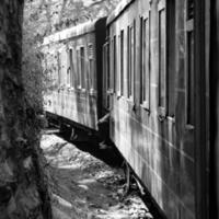 shimla, himachal pradesh, indien - 14. mai 2022 - spielzeugeisenbahn kalka-shimla route, weiter mit der eisenbahn zum hügel, spielzeugeisenbahn von kalka nach shimla in indien inmitten grüner naturwälder foto