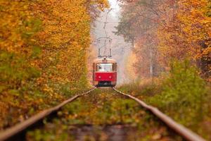 Herbstwald, zwischen dem eine seltsame Straßenbahn fährt foto