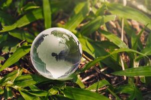 Globus Glas auf Grün Gras Hintergrund. Umgebung Konzept foto