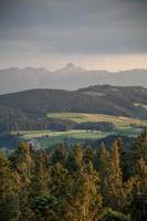 schweizerisch Berg Landschaft mit Nadelbaum Bäume wie Vordergrund foto