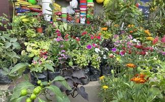 Gartenarbeit Werkzeuge und Blumen auf das Terrasse im das Garten foto