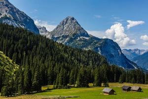 Panorama- Aussicht von idyllisch Sommer- Landschaft im das Alpen mit klar Berg See und frisch Grün Berg Weiden im das Hintergrund foto