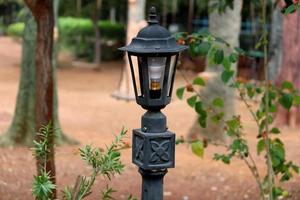 Straße Lampe im das Felsen Garten. foto