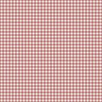 nahtlos Muster Gingham foto