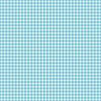 nahtlos Muster Gingham foto