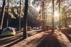 Sonnenuntergang beim Camping Seite? ˅ mit Zelt im das Kiefer Wald foto