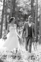 jung Paar Braut im ein Weiß kurz Kleid und Bräutigam im ein grau passen im ein Kiefer Wald foto
