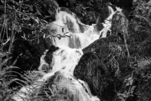 Wasserfall im crawfordsburn, Nord Irland, Vereinigtes Königreich foto