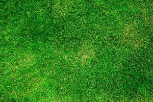 natürlich Grün Gras Textur. perfekt Golf oder Fußball Feld Hintergrund. oben Ansicht2 foto