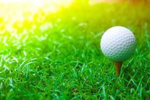 grünes gras mit golfball nahaufnahme im weichzeichner bei sonnenlicht. sportplatz für golfclubkonzept foto