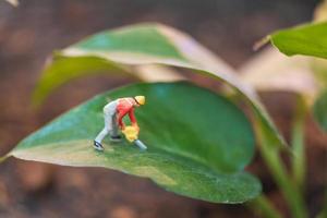 Miniaturarbeiter, der mit einem Baum arbeitet und Naturkonzept schützt foto