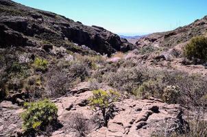 szenisch Landschaft auf Teneriffa, Kanarienvogel Inseln, Spanien foto