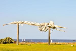 Wal Skelett Skulptur - - Spanien 2022 foto