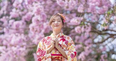 japanisch Frau im traditionell Kimono Kleid ist Herstellung ein Neu Jahr Wunsch zum gut Vermögen während Gehen im das Park beim Kirsche blühen Baum während Frühling Sakura Festival mit Kopieren Raum foto