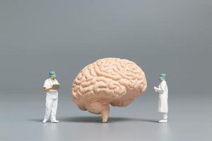 Miniaturarzt und Krankenschwester, die das menschliche Gehirn, die Wissenschaft und das medizinische Konzept beobachten und diskutieren foto