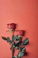 Rosen auf rotem Grund foto