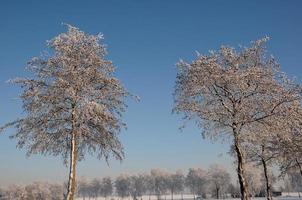 Winterzeit in Westfalen foto