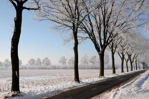 Winterzeit in Westfalen foto