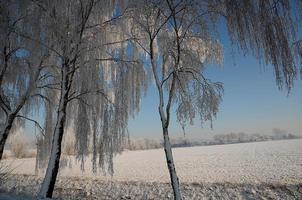 Winterzeit in Westfalen foto